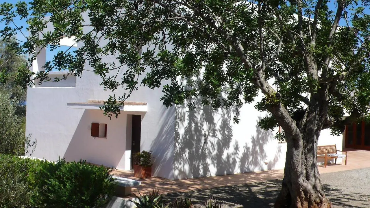 White House Ibiza Modernist Design Can Perez Sea Views Es Figueral サンタ・エウラリア・デス・リウ
